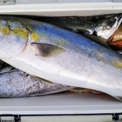 康仁丸・ジギング釣り果